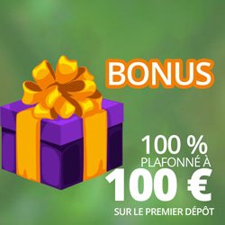 palette-bonus-et-promotion